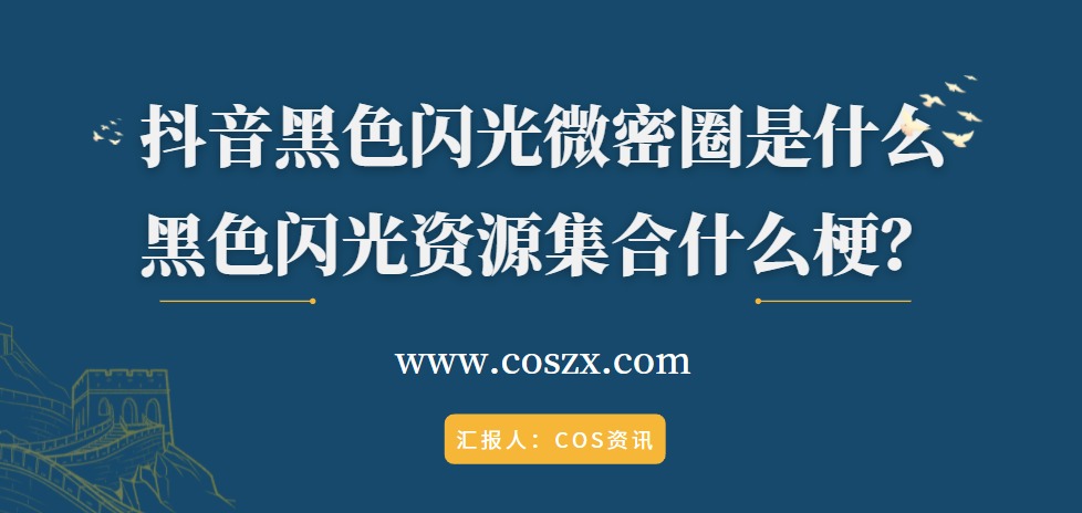 抖音黑色闪光微密圈是什么，黑色闪光资源集合什么梗？-COS村